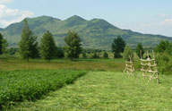 pension-muntean, maramures, botiza